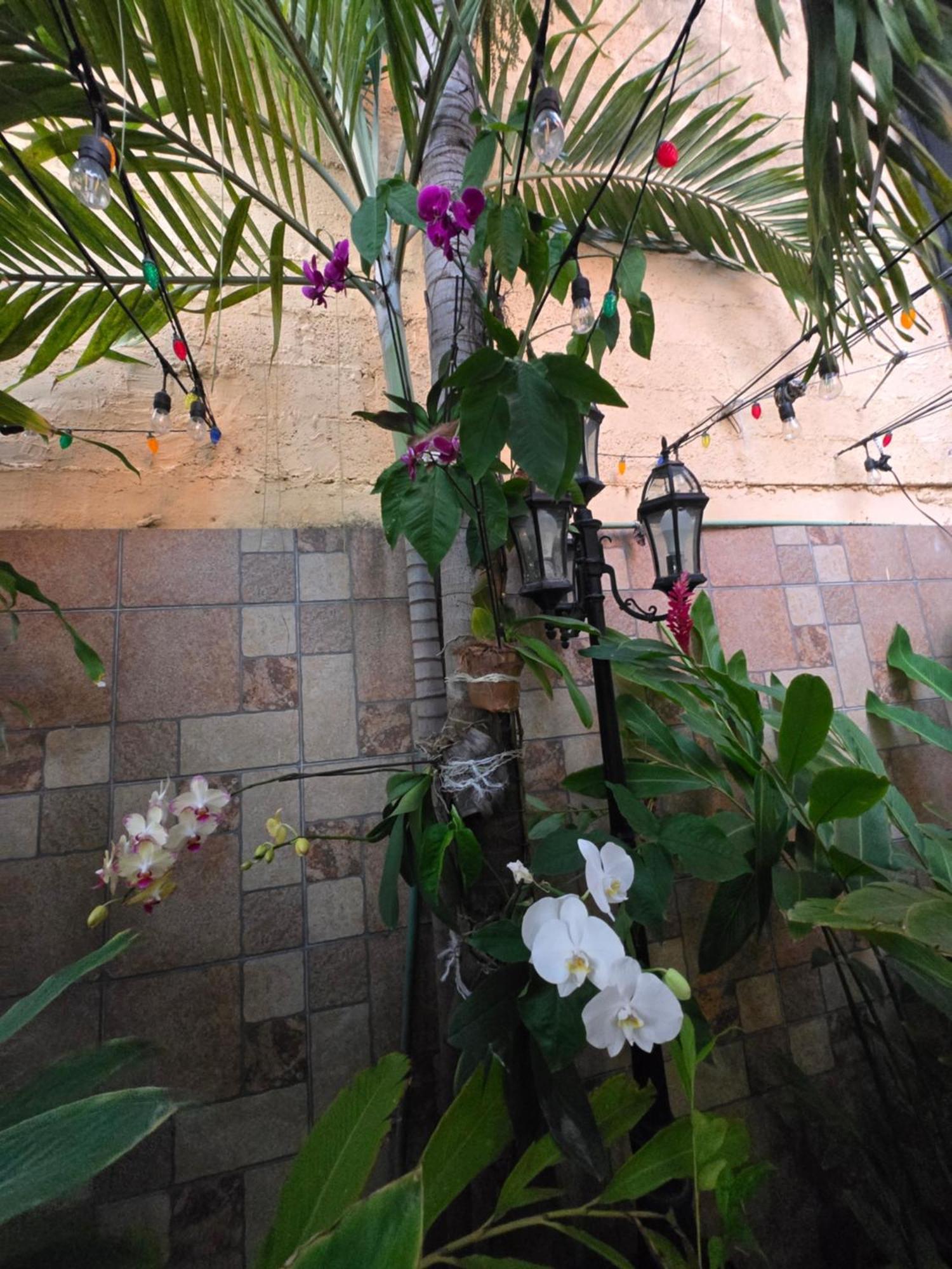 Hotel Posada Marcas แคนคูน ภายนอก รูปภาพ